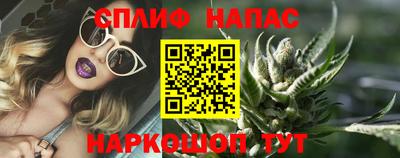 прущие грибы Балаково