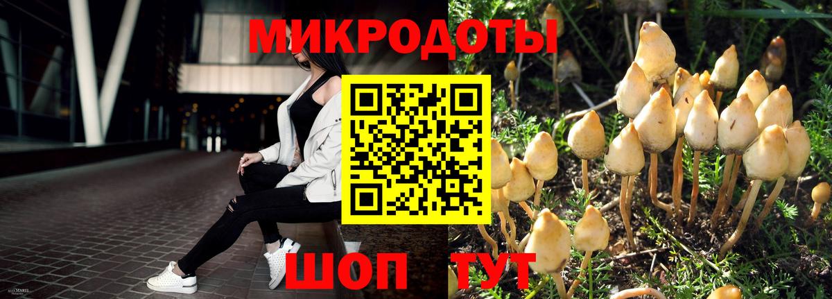 Дзержинский  Галлюциногенные грибы ЛСД  Вход с VPN 